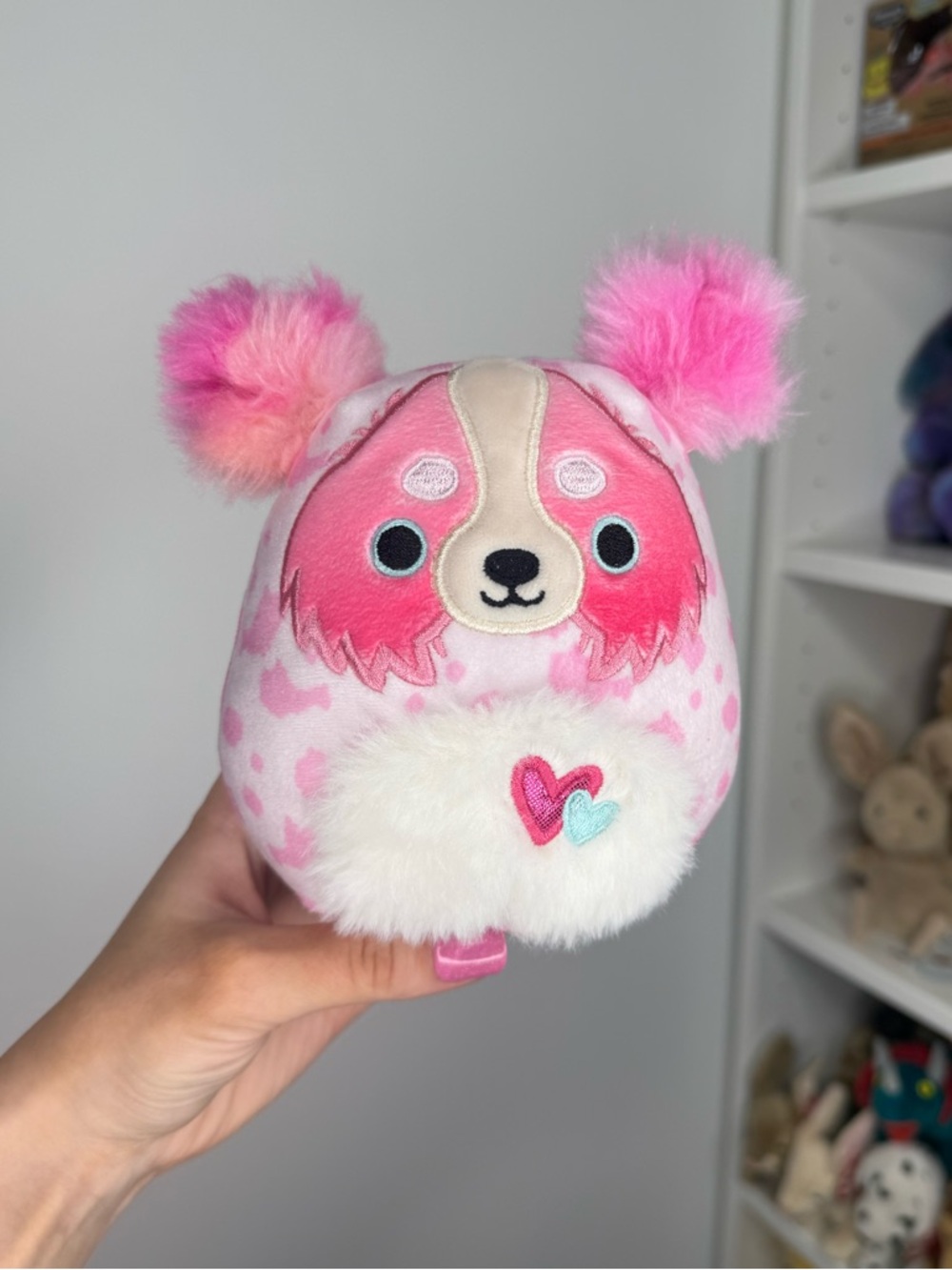 Squishmallows Magnis the Australian Shepherd